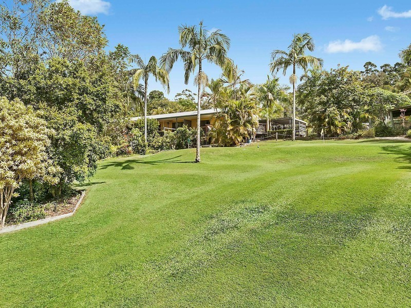 31 Palm Creek Road, Tanawha QLD 4556