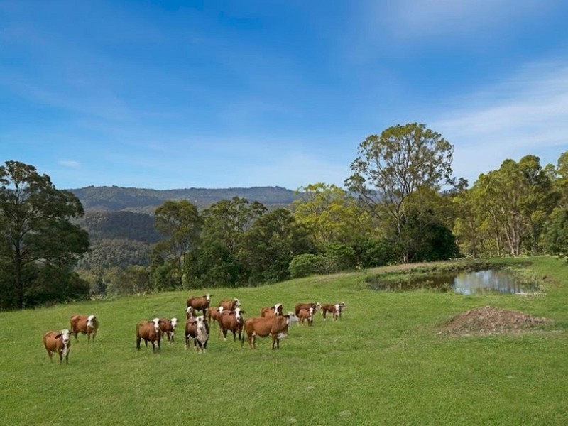 340 Brandenburg Road, Maleny QLD 4552