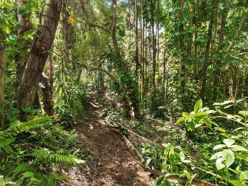 Lot 2 176-184 Glenmount Road, Tanawha QLD 4556