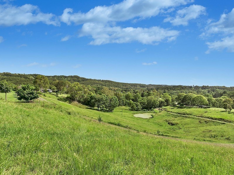 125 Jacksons Road, Woombye QLD 4559