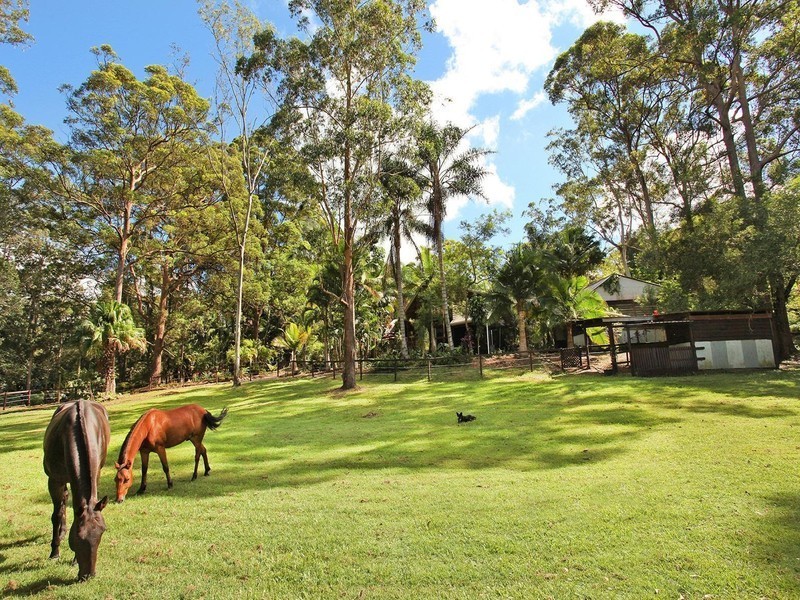 240 Sippy Creek Road, Tanawha QLD 4556