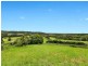 628 Diddillibah Road, Diddillibah QLD 4559