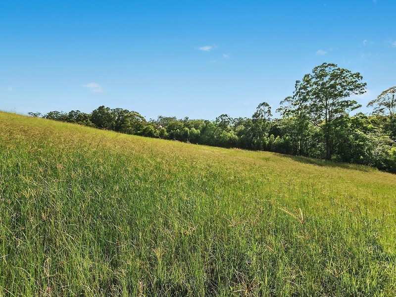 78 Palmview Forest Drive, Palmview QLD 4553