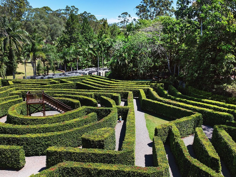 Bellingham Maze 274 Tanawha Tourist Drive, Tanawha QLD 4556