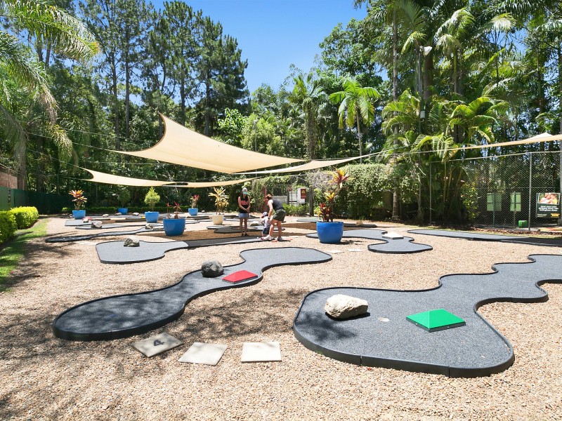 Bellingham Maze 274 Tanawha Tourist Drive, Tanawha QLD 4556