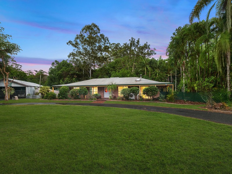 Bellingham Maze 274 Tanawha Tourist Drive, Tanawha QLD 4556