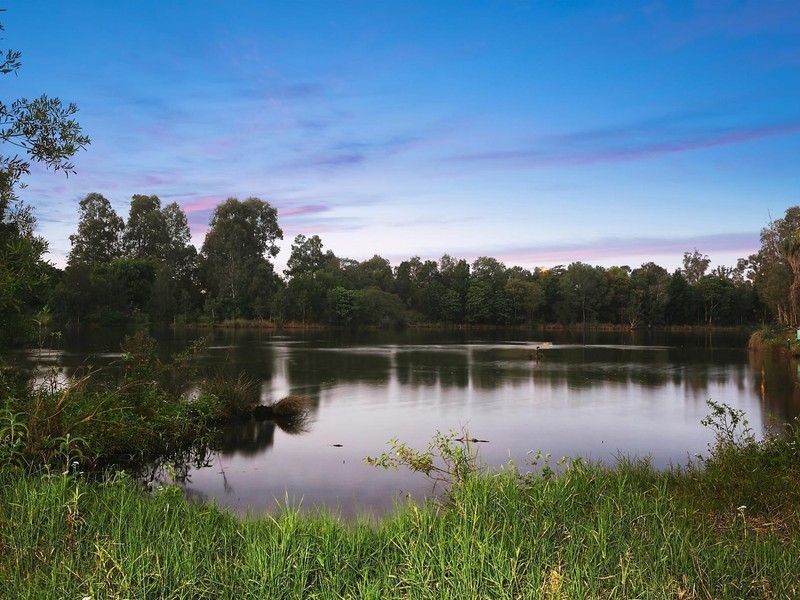 14 Aspen Court, Buderim QLD 4556