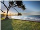 15 The Grove, Alexandra Headland QLD 4572
