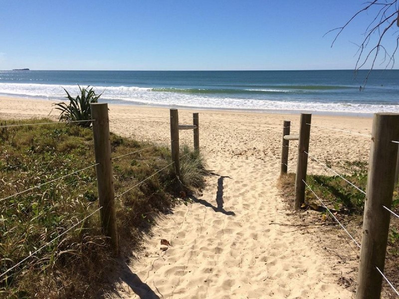 15 The Grove, Alexandra Headland QLD 4572