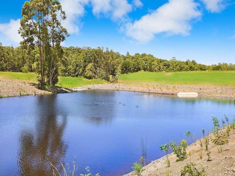 79 Eudlo Flats Road, Diddillibah QLD 4559