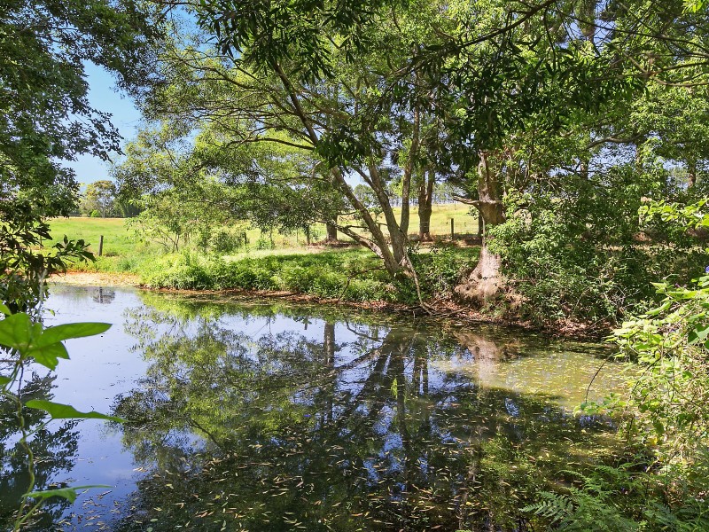 Lot 3 Witta Road, Witta QLD 4552