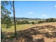 322 Petrie Creek Road, Rosemount QLD 4560