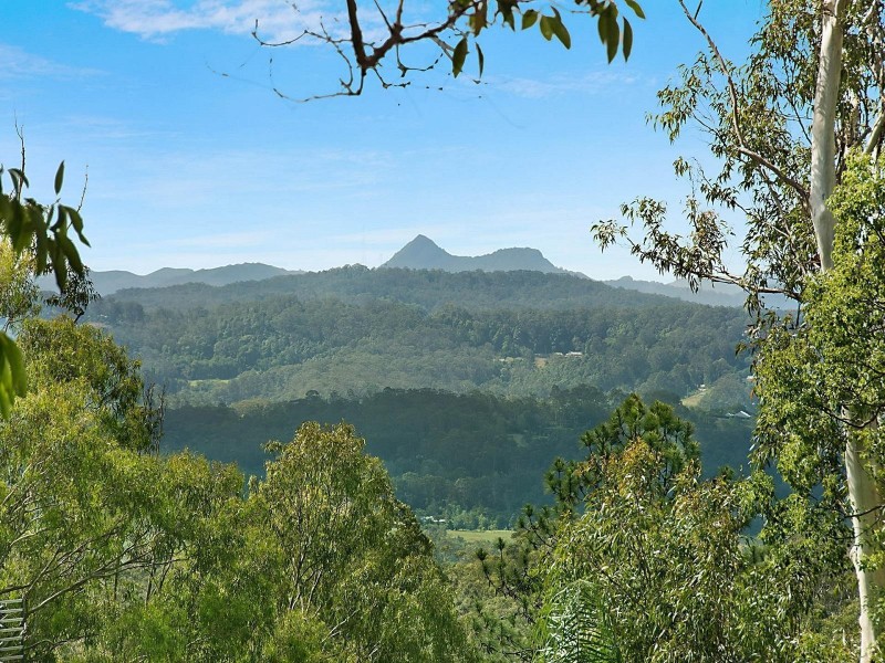 51 Tulip Lane, Buderim QLD 4556