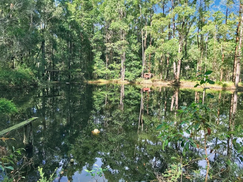 340 Wilson Road, Tanawha QLD 4556