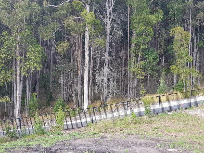 29 Kingfisher Drive, Bli Bli QLD 4560