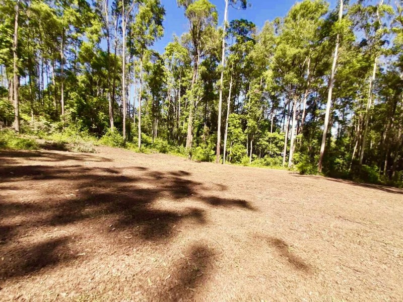 247 Dales Road, Chevallum QLD 4555
