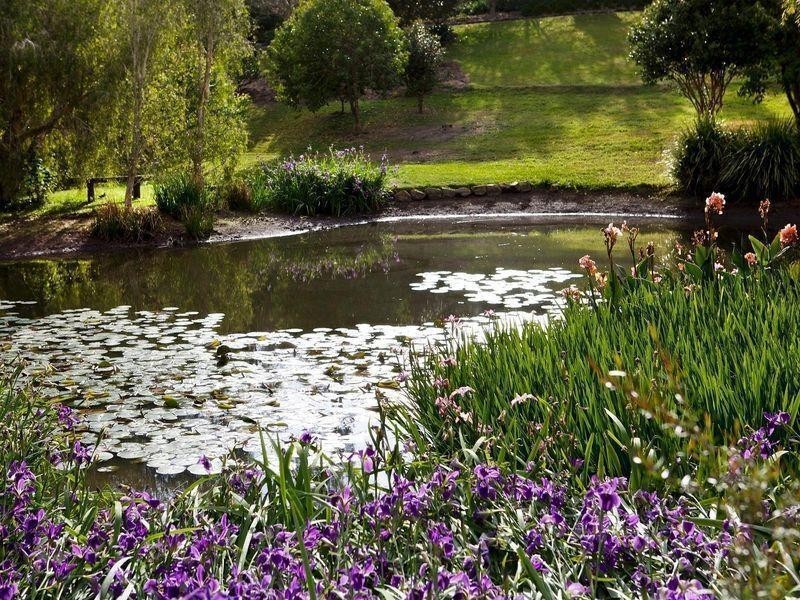 19 Brolga Lane, Dulong QLD 4560