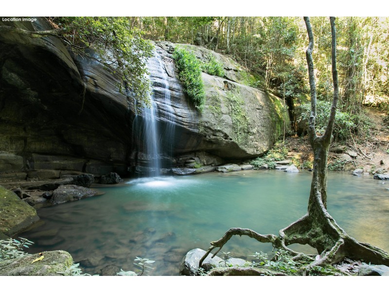 41A Coolum View Terrace, Buderim QLD 4556