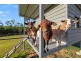 7 Wombat Place, Ninderry QLD 4561