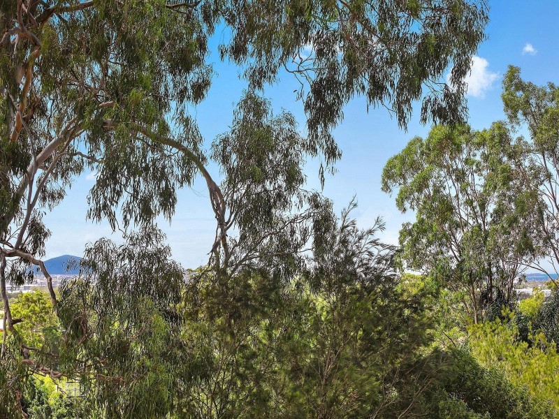 19 Pheasant Street, Buderim QLD 4556
