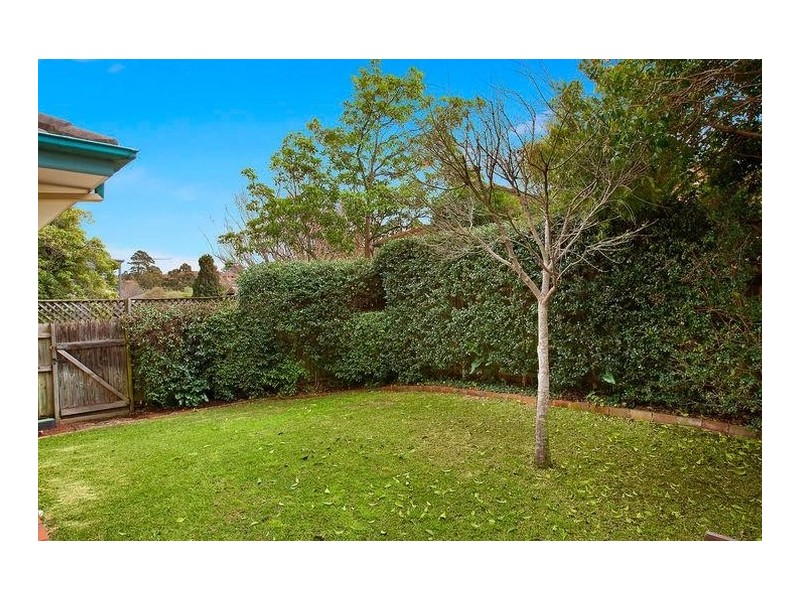 11 Harris Street, Willoughby NSW 2068