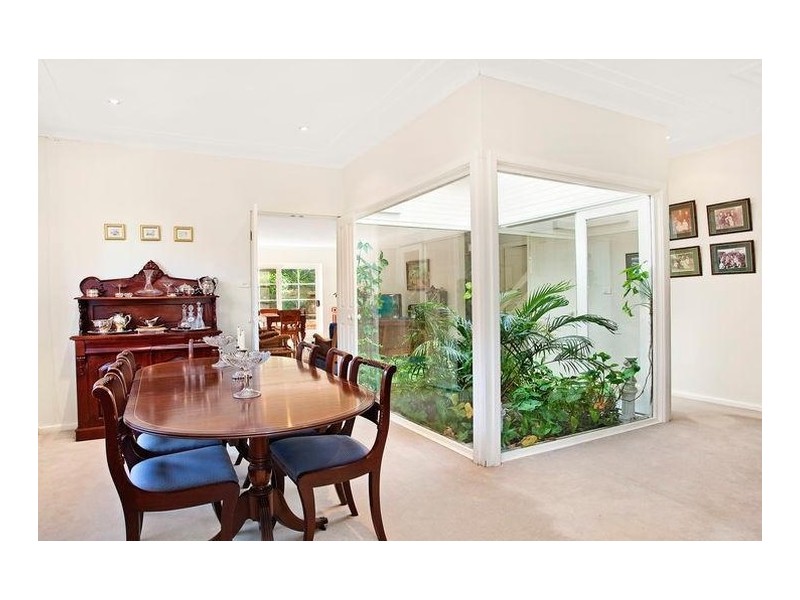 53 Osborne Road, Lane Cove NSW 2066