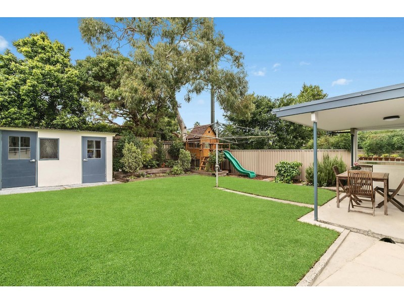 48 Carlotta Street, Greenwich NSW 2065