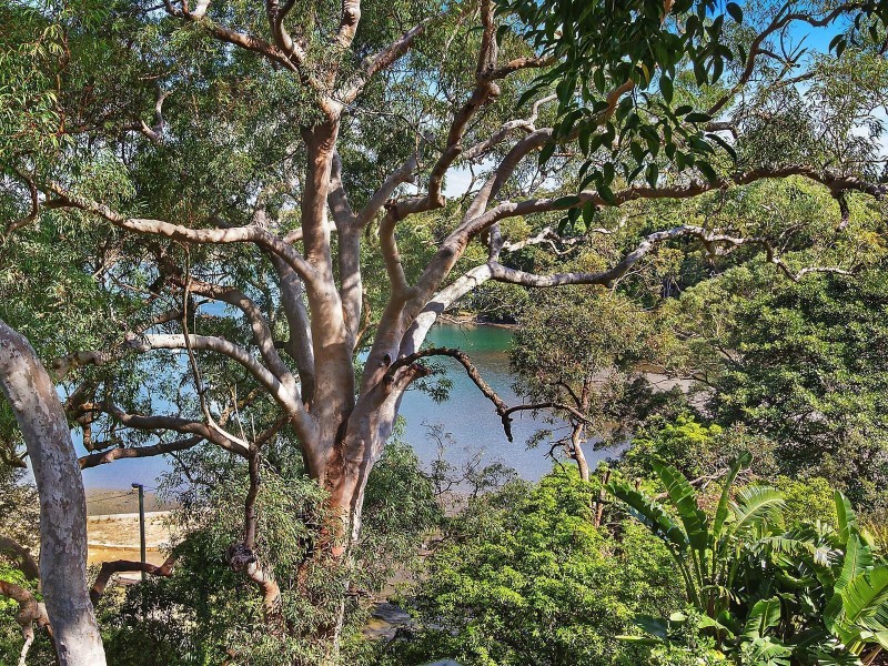 62 Kallaroo Road, Riverview NSW 2066