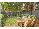 46 Holtermann Street, Crows Nest NSW 2065