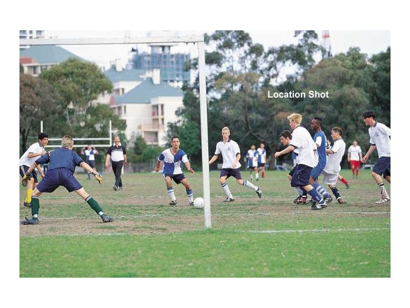 56 Mitchell Street, Naremburn NSW 2065