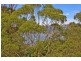 6 Currawang Street, Cammeray NSW 2062