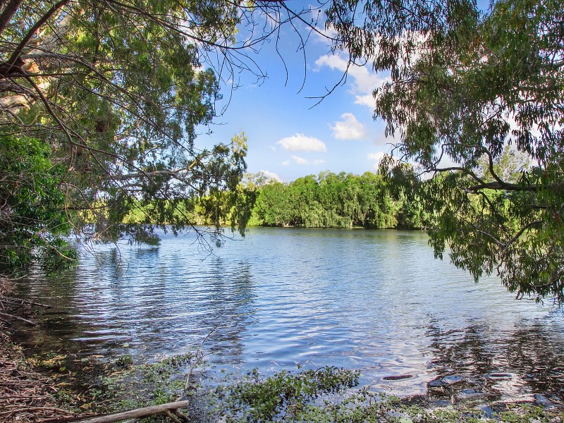 8 Isabella Court, Cranbrook QLD 4814