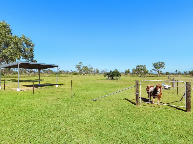 242 Mountview Drive, Toonpan QLD 4816
