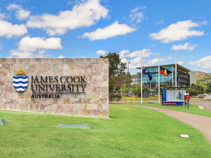 4 Nicol Court, Annandale QLD 4814