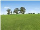 Lot 350 Argyle Estate, Elderslie NSW 2570
