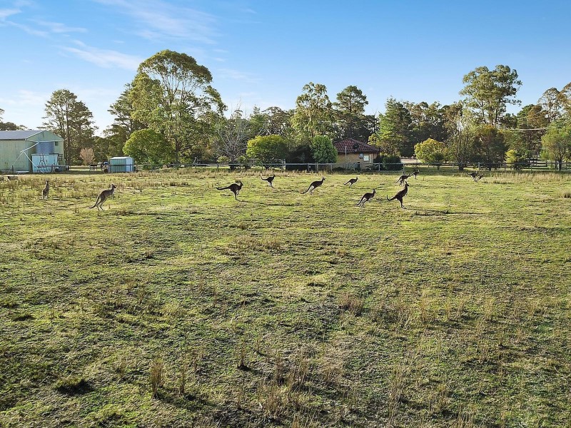 115 Buxton Avenue, Buxton NSW 2571