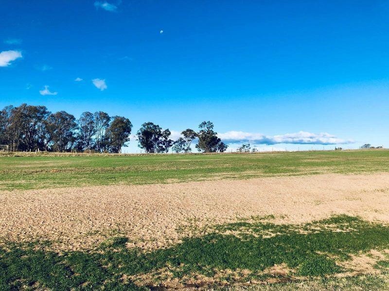 Montpelier Grove Estate, The Oaks NSW 2570