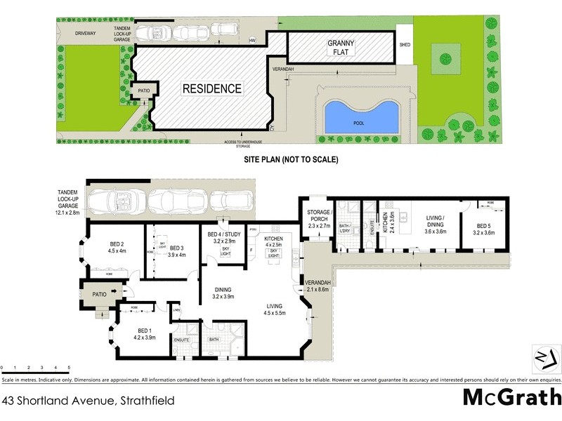 43 Shortland Avenue, Strathfield NSW 2135 Floorplan