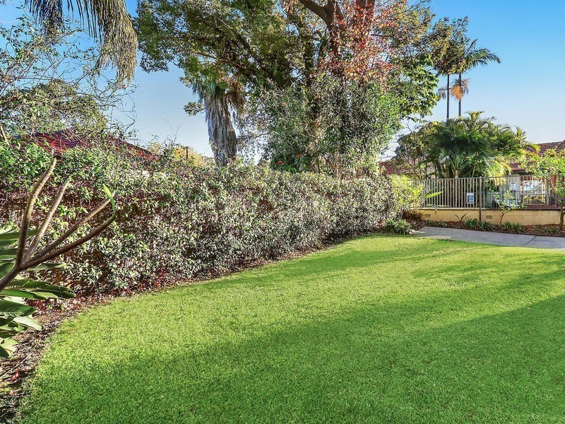 16 Florence Street, Strathfield NSW 2135