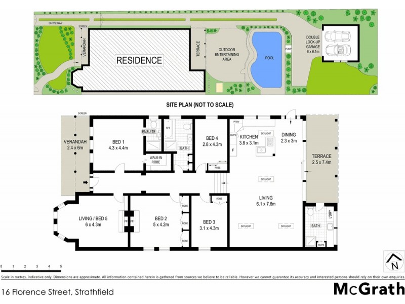 16 Florence Street, Strathfield NSW 2135 Floorplan