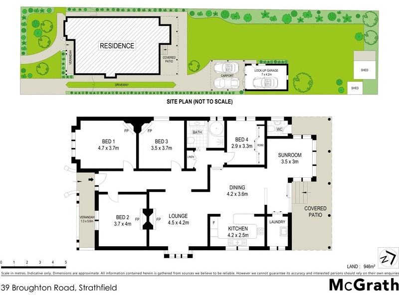 39 Broughton Road, Strathfield NSW 2135 Floorplan