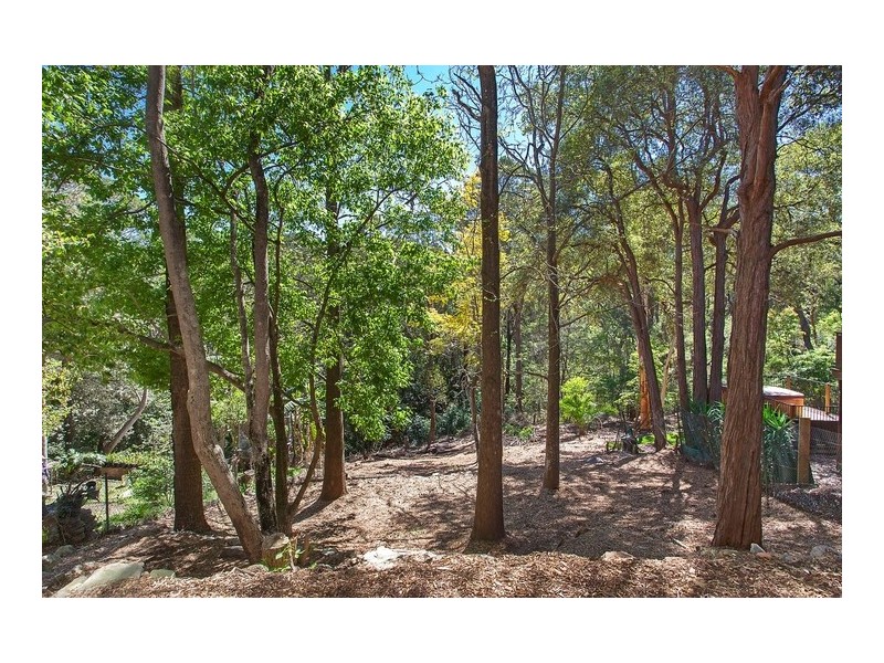 43 Johnston Crescent, Lane Cove NSW 2066