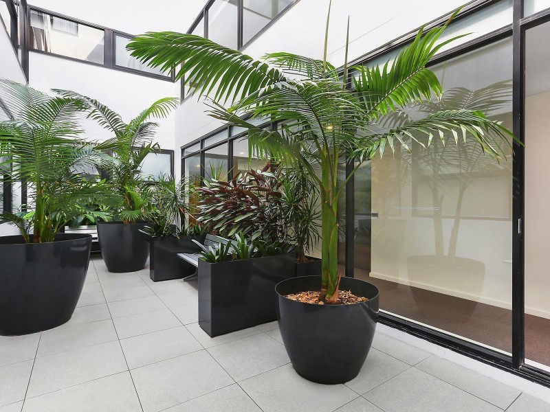 205/9 Young Street, Neutral Bay NSW 2089