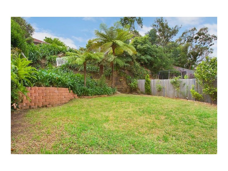 23 Walter Street, Willoughby NSW 2068