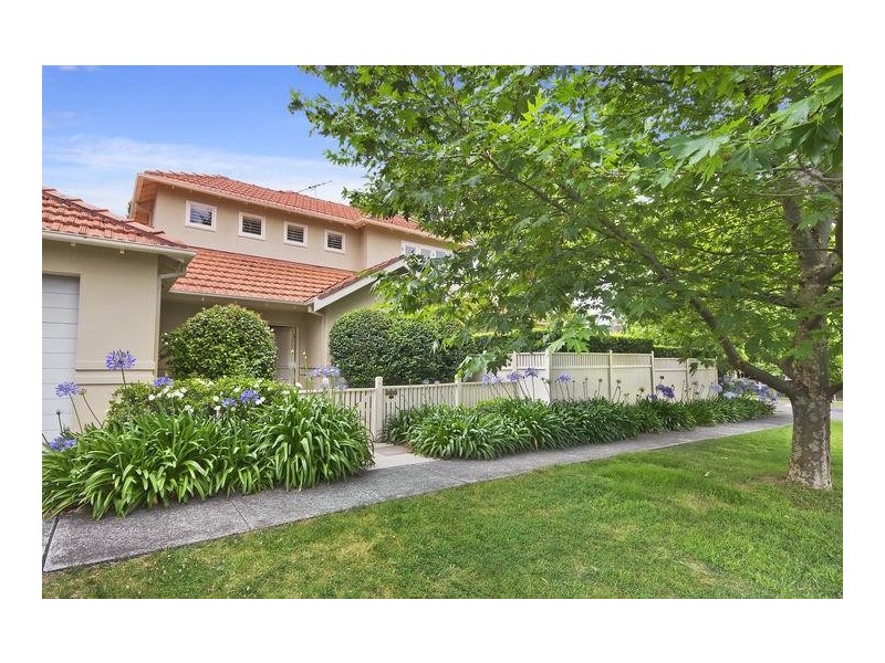 36 Ann Street, Willoughby NSW 2068