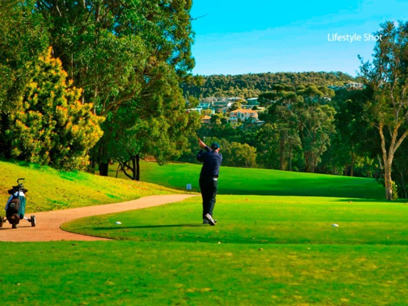 38 Little Willandra Road, Cromer NSW 2099