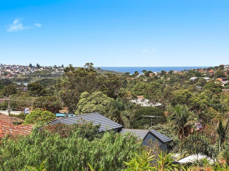 171 Wyndora Avenue, Freshwater NSW 2096