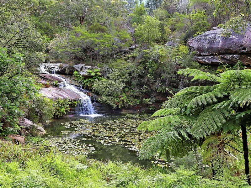 145 Campbell Parade, Manly Vale NSW 2093