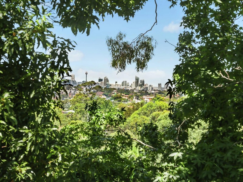 8 Jayne Street, West Ryde NSW 2114