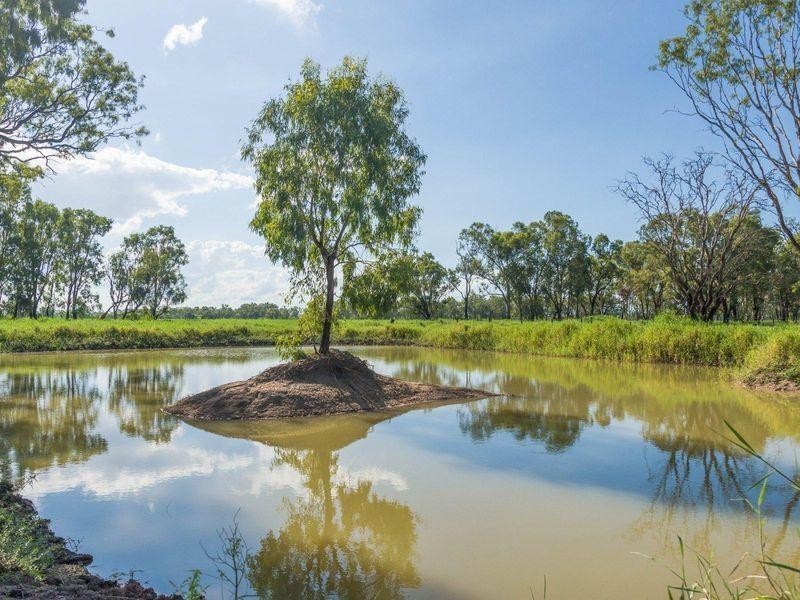 32 Pink Lily Road, Pink Lily QLD 4702